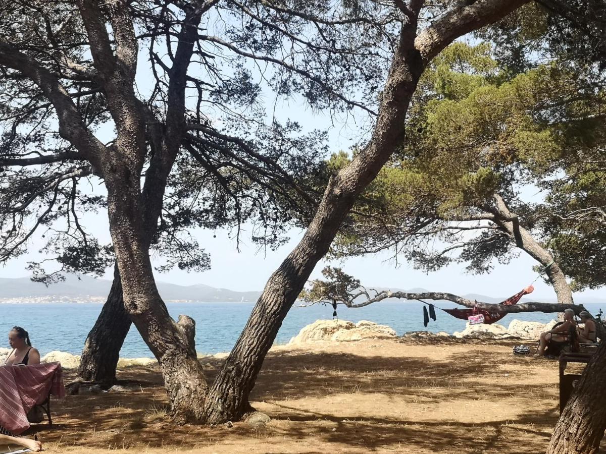 Apartment Asea Zadar Zewnętrze zdjęcie